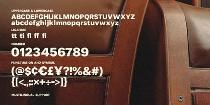 MC Galina Reany Font Poster 6