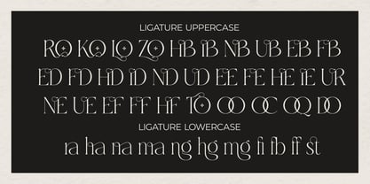 Larovie Font Poster 12
