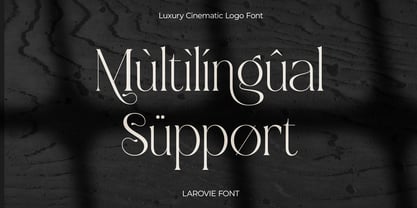 Larovie Font Poster 9