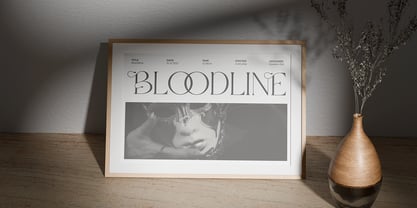 Larovie Font Poster 8