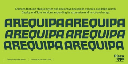 Andenes Font Poster 9