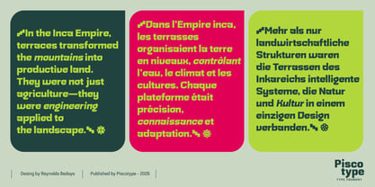 Andenes Font Poster 11