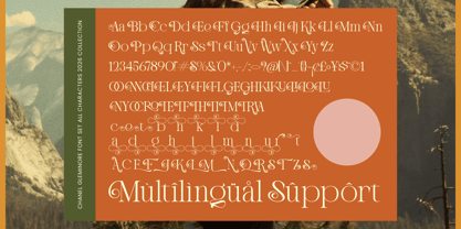 Chanel Gleminore Font Poster 10