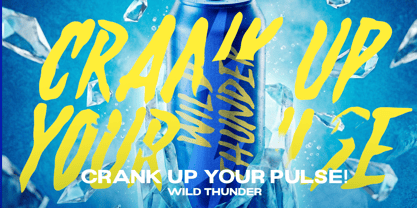 Wild Thunder Font Poster 3
