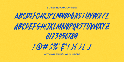 Wild Thunder Font Poster 8