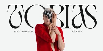 Balgarde Serif Font Poster 8