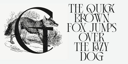 Balgarde Serif Font Poster 13