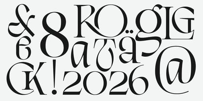 Balgarde Serif Font Poster 12