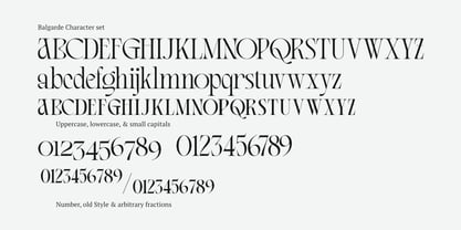 Balgarde Serif Font Poster 9