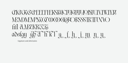 Balgarde Serif Font Poster 11