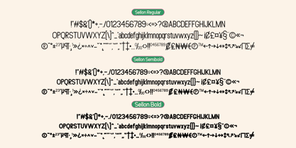 Sellon Font Poster 9