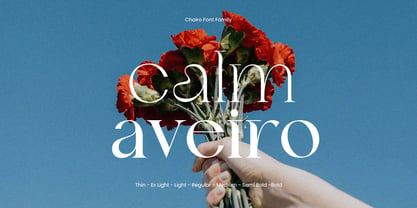 Calore Serif Font Poster 3
