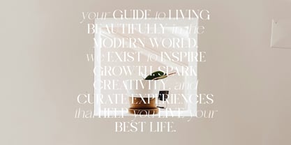 Calore Serif Font Poster 9