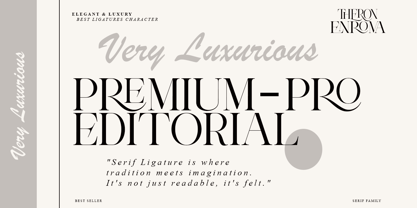 Theron Enroma Font Poster 6