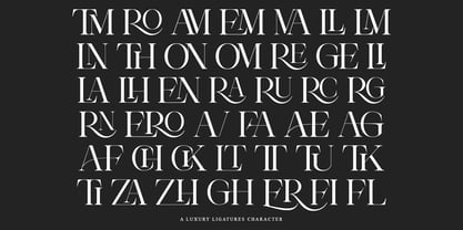 Theron Enroma Font Poster 7