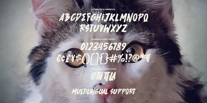 MC Bighes Mertin Font Poster 6