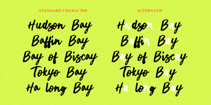 Montany Brush Font Poster 5