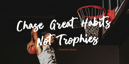 Montany Brush Font Poster 4