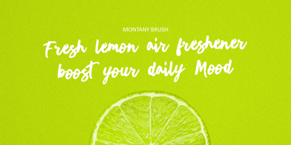 Montany Brush Font Poster 3