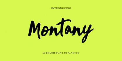 Montany Brush Font Poster 1