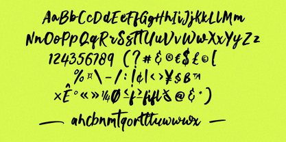 Montany Brush Font Poster 9