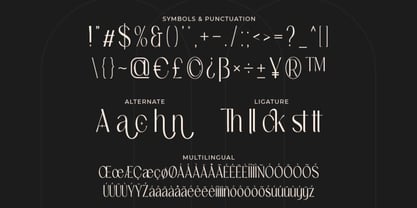 Polvian Font Poster 5