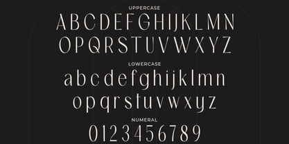 Polvian Font Poster 2