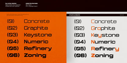 TBJ Ultra Centric Font Poster 8