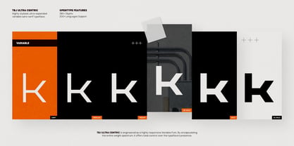 TBJ Ultra Centric Font Poster 5