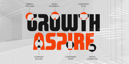 Bragona Font Poster 9