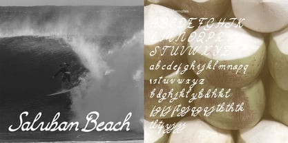 Camarali Font Poster 2
