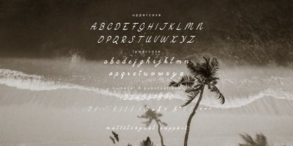 Camarali Font Poster 6
