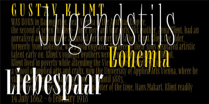 Lev Type Repyakh Font Poster 8