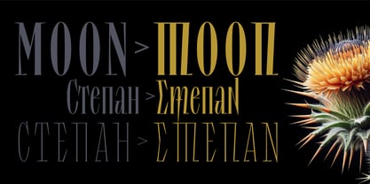 Lev Type Repyakh Font Poster 4