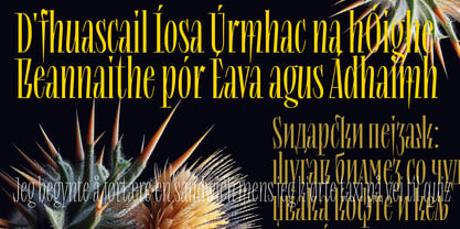 Lev Type Repyakh Font Poster 10