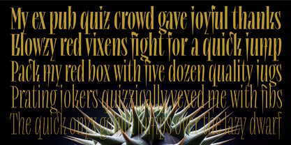 Lev Type Repyakh Font Poster 5