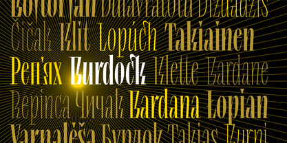 Lev Type Repyakh Font Poster 7