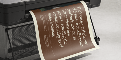 Silkigfined Font Poster 9