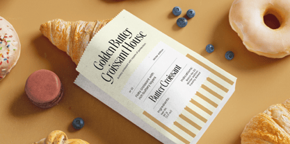 Silkigfined Font Poster 5