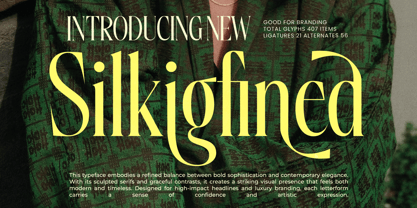 Silkigfined Font Poster 1