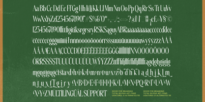 Silkigfined Font Poster 10