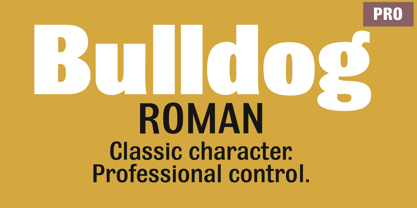 Bulldog Pro Font Poster 1