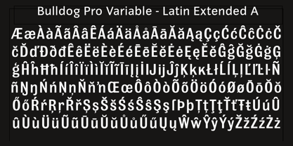 Bulldog Pro Font Poster 5