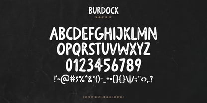 Burdock Font Poster 6