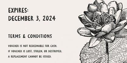 Burdock Font Poster 4
