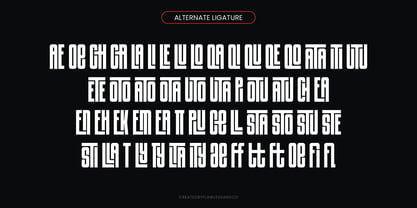Pluralism Font Poster 9