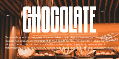 Pluralism Font Poster 6