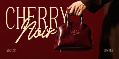 Delicate Starway Font Poster 3