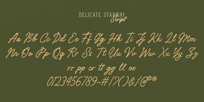 Delicate Starway Font Poster 8