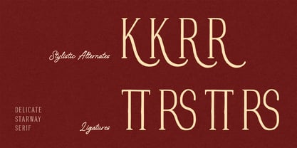 Delicate Starway Font Poster 7